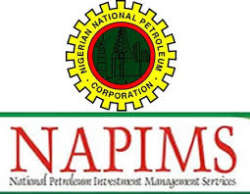 129025.national-petroleum-investment-management-servicesnapims