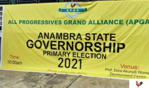 APGA-governorship-primary-Anambra-State