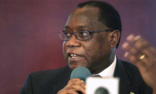 Mr.-Olusegun-Aganga