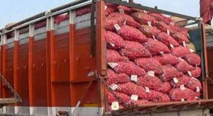 Onion-Traders