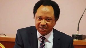 Shehu-Sani1