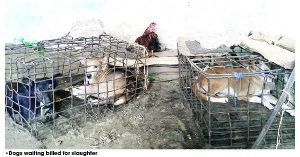 Untitled-10