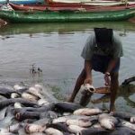 Emmanuel donates fishing inputs to farmers in Akwa Ibom