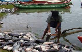 Emmanuel donates fishing inputs to farmers in Akwa Ibom