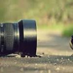 World Photography Day