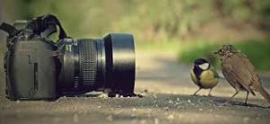 World Photography Day