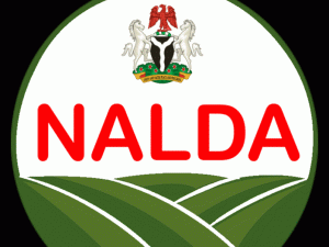 a43f6877-nalda-logo-696×522