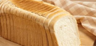 bread-1-310x150_c