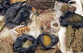 regulate herbal medicines