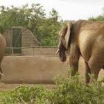 zoo