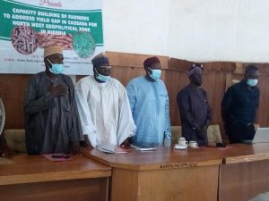 FG targets 40 million tonnes of cassava per hectare