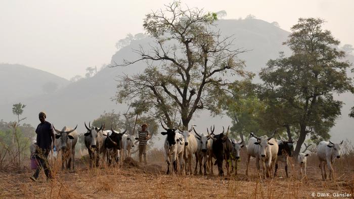 Herder, 2 others jailed in Ilorin over love scam