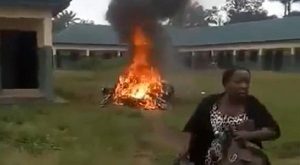 IPOB-1
