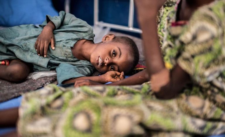 Malnutrition-in-Borno-770×470