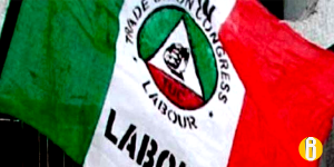nlc