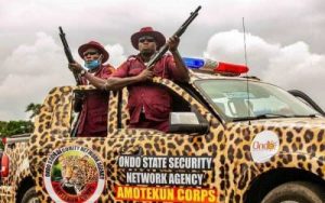 Ondo: Amotekun arrests 3 herdsmen, 180 cows for violating anti-open grazing laws