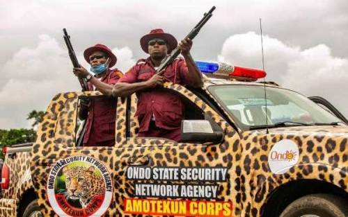 Ondo: Amotekun arrests 3 herdsmen, 180 cows for violating anti-open grazing laws