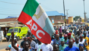 APC only party that will entrench democracy, says Lagos appeals committee