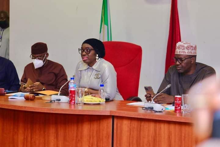 Uche Ekwunife, Chair, Senate Committee on Science and Technology