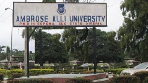 Ambrose-Alli-University-661×375