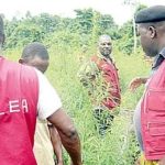 NDLEA raids
