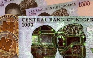e-Naira