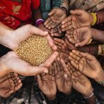 Over 800 million people still chronically hungry globally: university don
