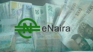 a3d6bc3d-enaira-696×392
