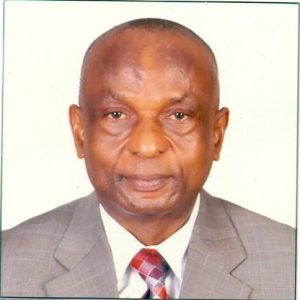 Ambassador Okwudili Nwosu