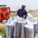 CBN to save $2 billion annually via wheat revolution