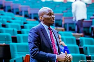 Hon Ndudi Elumelu