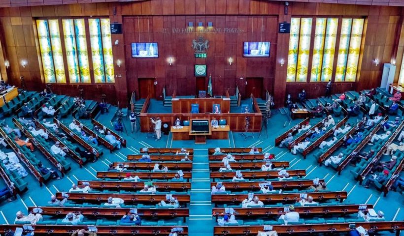 NIGER ASSEMBLY
