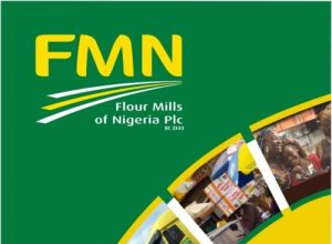 flour-mills-nigeria-report-500×367-1