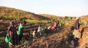 food security