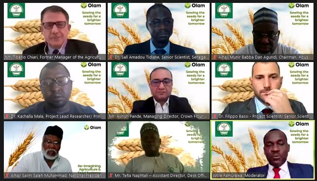 olam-webinar-picture