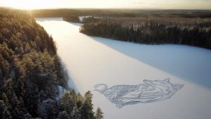 A drawing of a fox is seen on the frozen Pitkajarvi lake north of Helsinki, Finland, Saturday, Dec. 4, 2021. An architect-designer in southern Finland has returned to a frozen lake with a snow shovel to draw a large animal on the ice for the sixth year in a row to create a short-lived artwork that he hopes will “make people happy and encourage them to go out to hike in a beautiful nature.” The size of the figure on the ice is about 90 meters (295.3 feet) from edge to edge. (Pasi Widgren via AP)