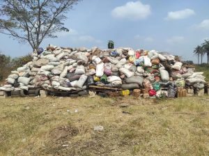 NDLEA tags Osun as cannabis-producing state, destroys 24,486 tons of narcotics