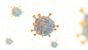 COVID-19 virus SARS-COV-2 OMICRON strain, covid-19 South African variant B.1.1.529 omicron