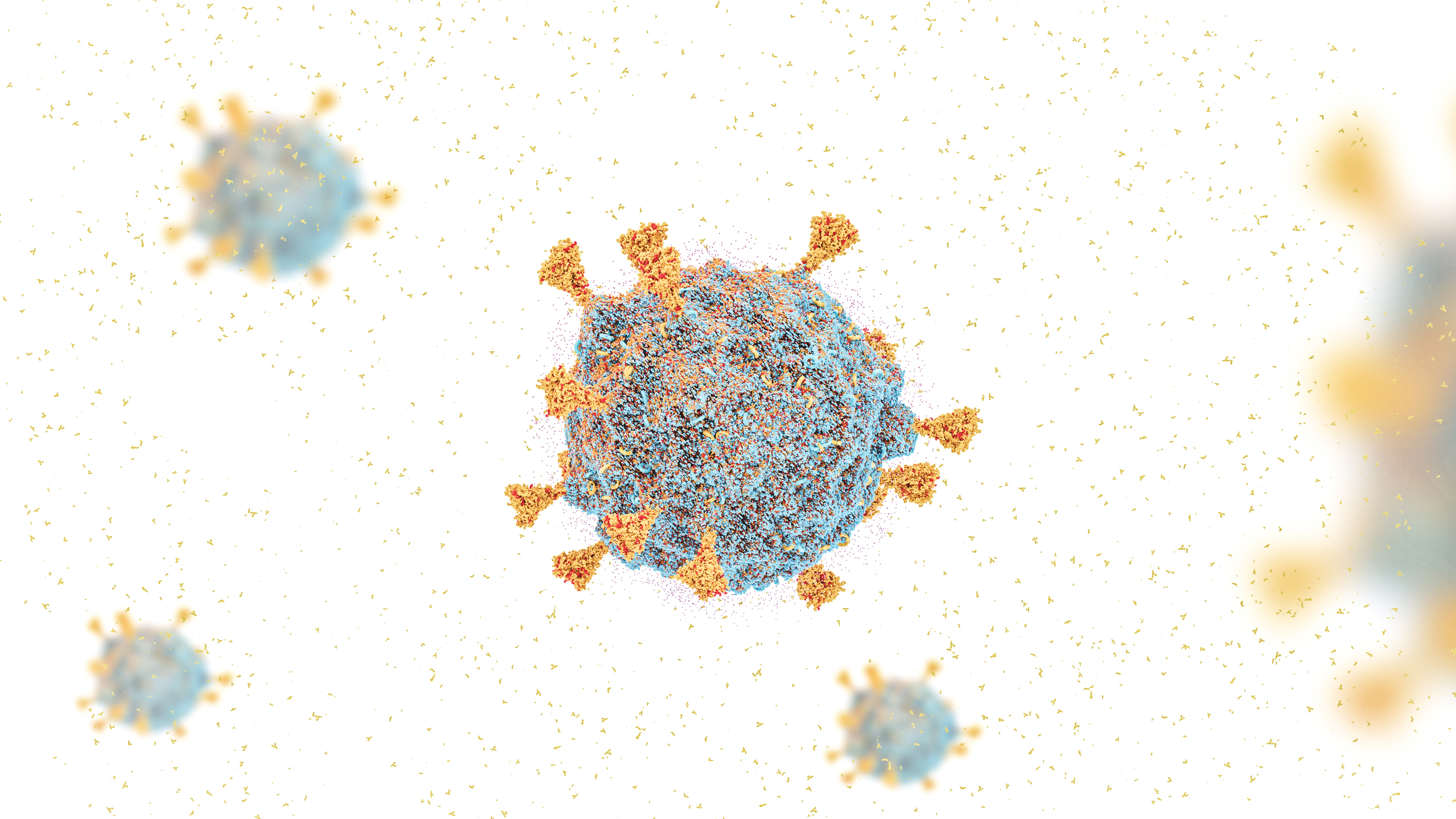 COVID-19 virus SARS-COV-2 OMICRON strain, covid-19 South African variant B.1.1.529 omicron