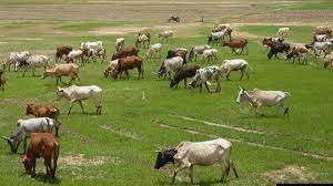 Kano State Agro-Pastoral Development Project