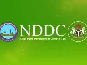 NDDC: Ijaw group urges Buhari to end illegality