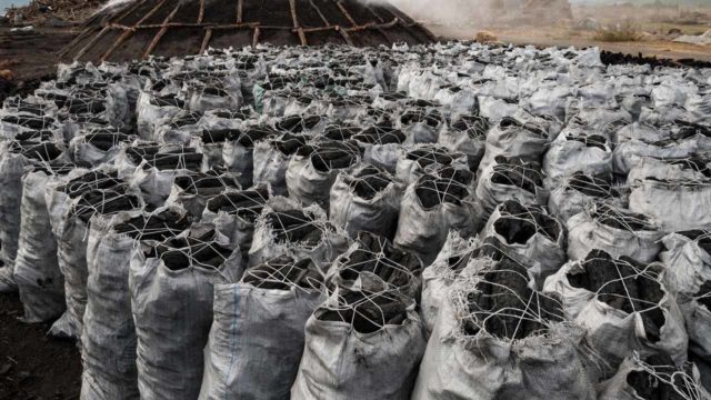 charcoal-export-640×360