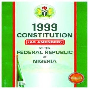 constitution copy