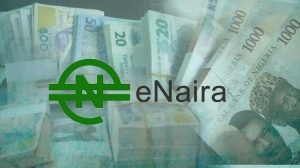 eNaira1-600×336