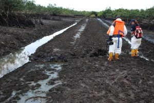 48ce5b3e-ogoniland-696×467