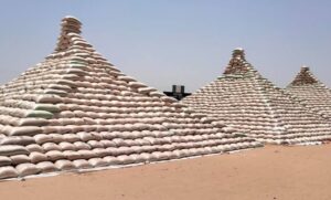 Buhari to unveil Africa’s largest rice pyramid in Abuja Tuesday