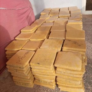 Kebbi NCS area command intercepts cannabis, PMS worth N21 million in one week