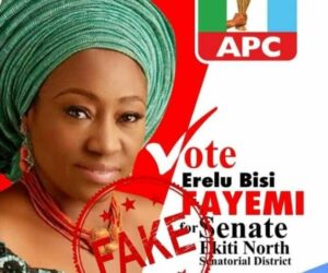 Bisi Fayemi