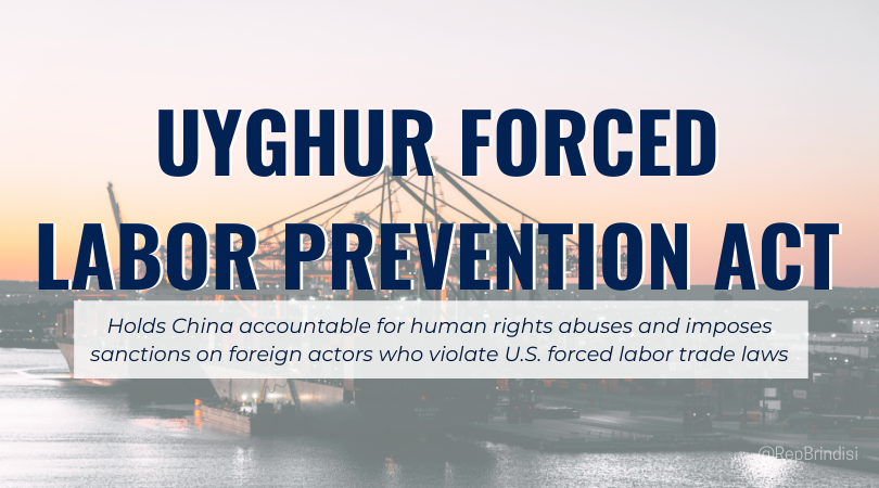 China Studies Centre slams US over Uyghur Forced Labour Prevention Act