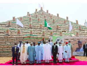 Food sufficiency: Buhari, Emefiele hailed for launching rice pyramids